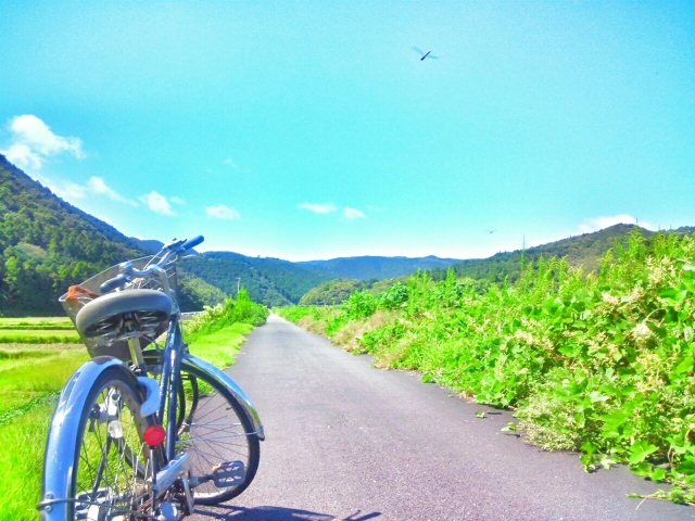 美瑛の景色と自転車
