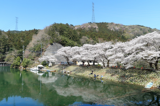 埼玉の湖 鎌北湖