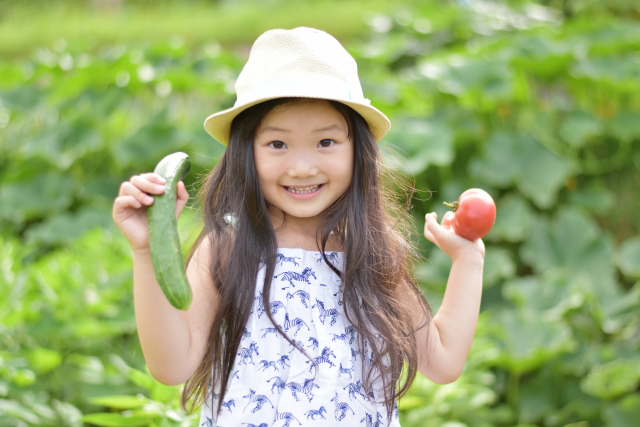 農園できゅうりとトマトを持った笑顔の少女