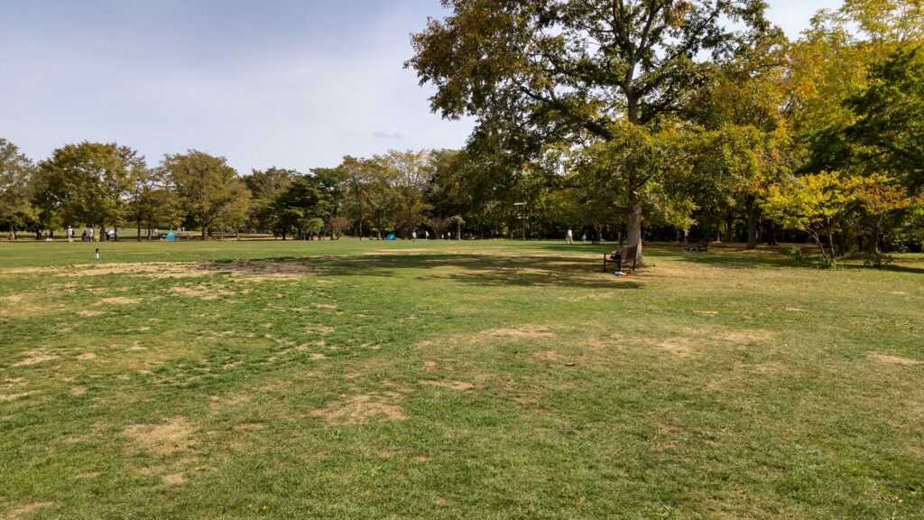 百合が原公園の芝生広場