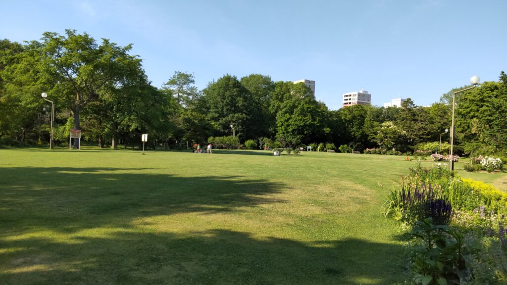 中島公園の芝生広場