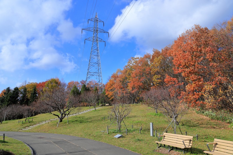 平岡公園