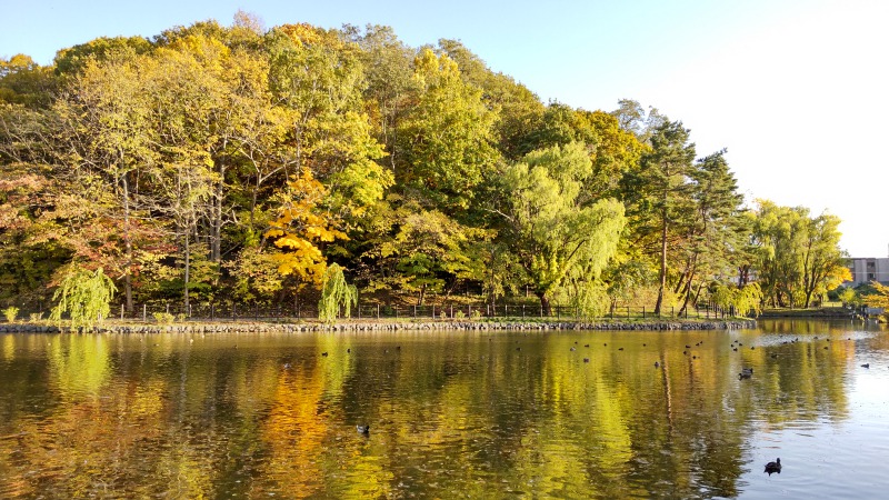 月寒公園