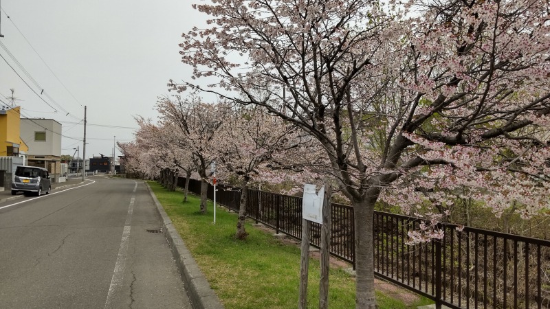 旧軽川緑地