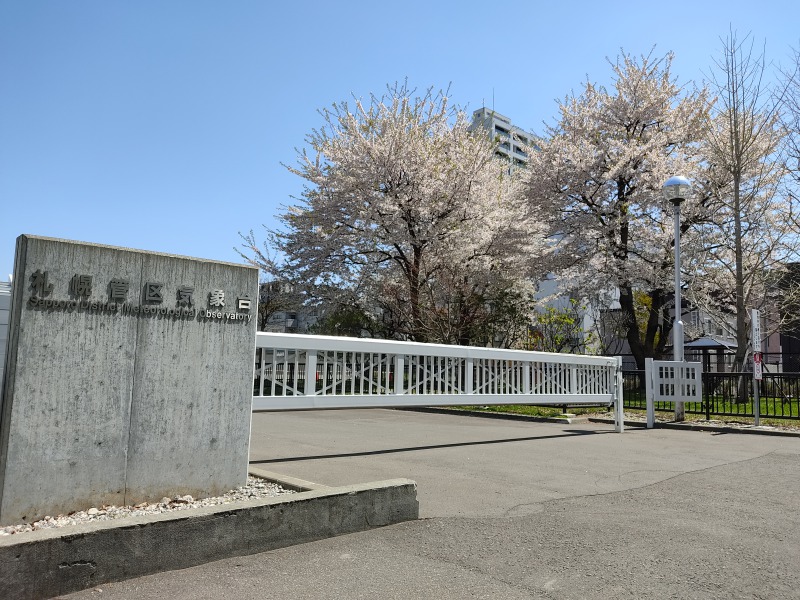 札幌管区気象台の桜