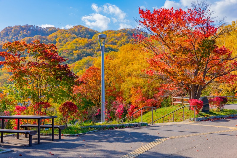 旭山記念公園の紅葉