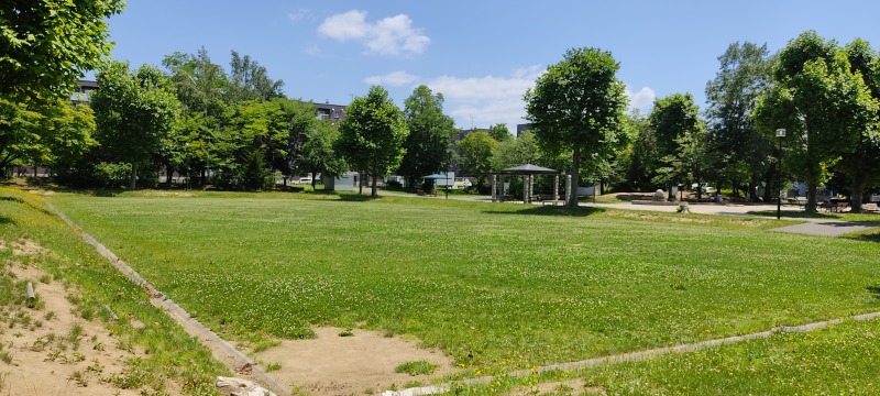苗穂グリーン公園の芝生広場