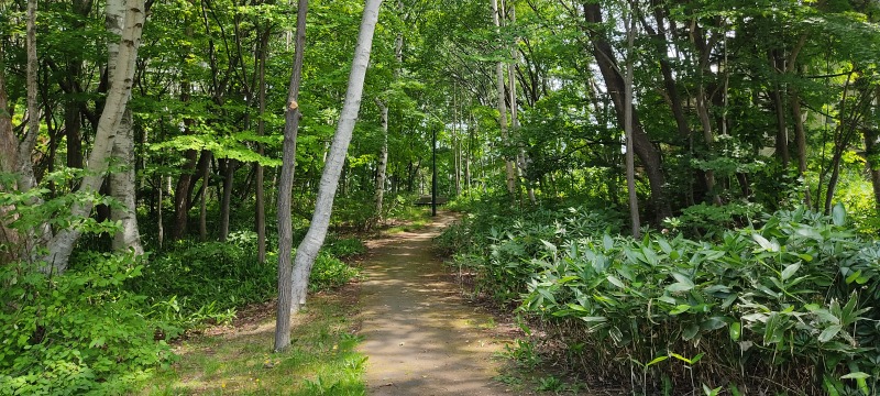北野ふれあい公園の散策路