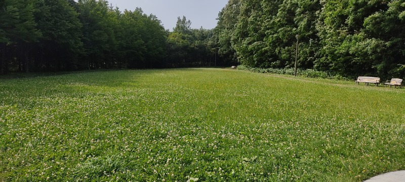 上野幌西公園の芝生広場