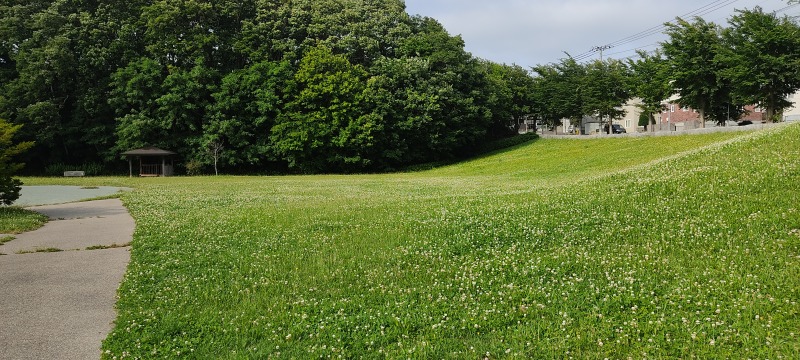 上野幌西公園の芝の坂