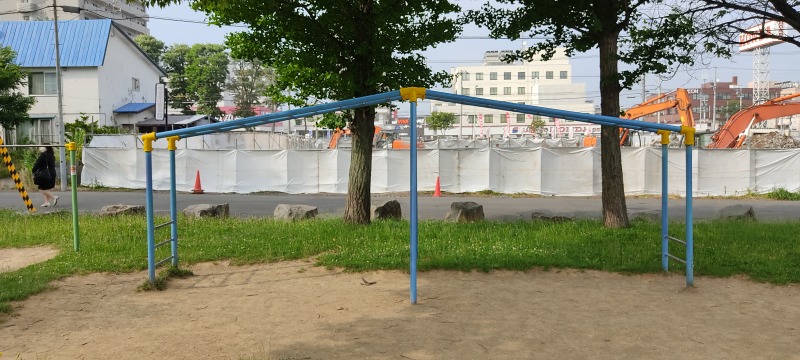 吉田山公園のうんてい