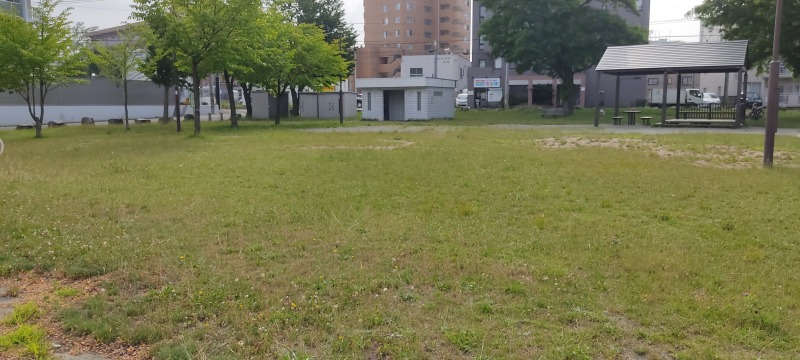 吉田山公園の芝生広場