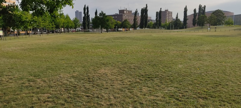 さっぽろ大地公園の芝生広場
