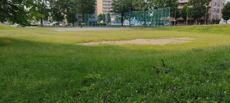 東札幌公園の芝生広場